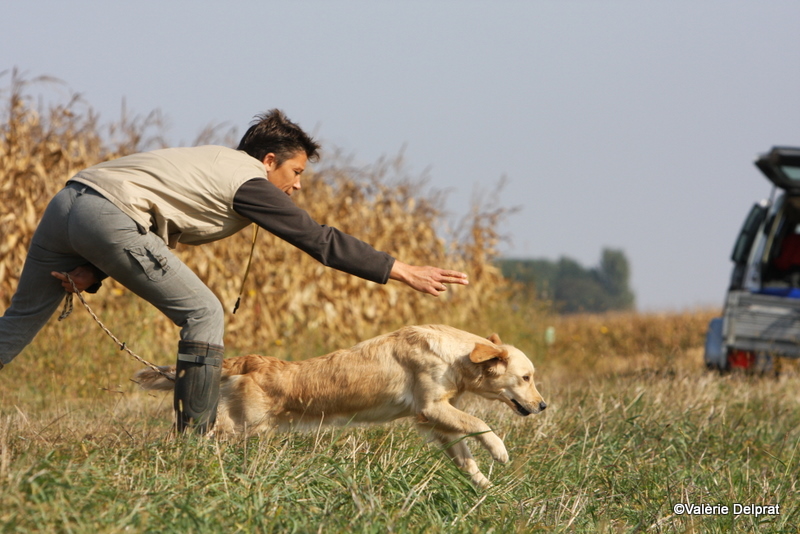 Field Erstein 09 (31).JPG